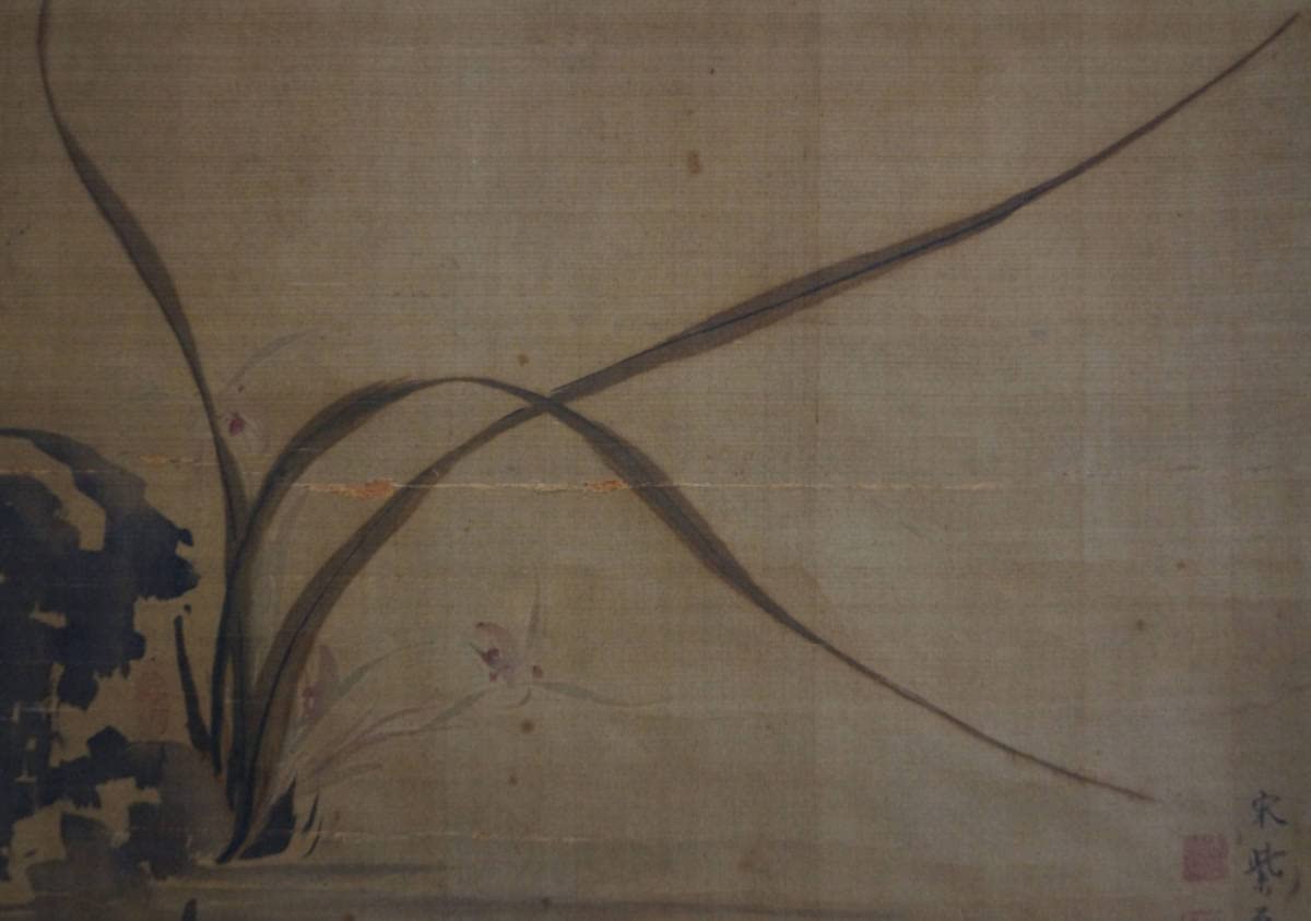 Amazon.co.jp: 閑江戸時代中期画家 南蘋派 宋紫石作『蘭図』絹本掛軸